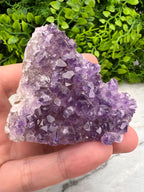 Amethist cluster cut base (6 cm)