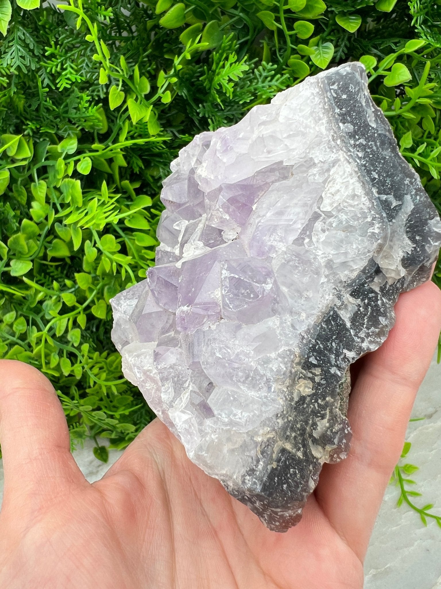 Amethyst-Cluster (644 Gramm) von KEY LIME STORE