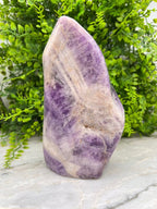 Dog Teeth Amethist sculptuur by KEY LIME STORE