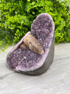 Amethist met Kwartskristal cut base - zeldzaam by KEY LIME STORE