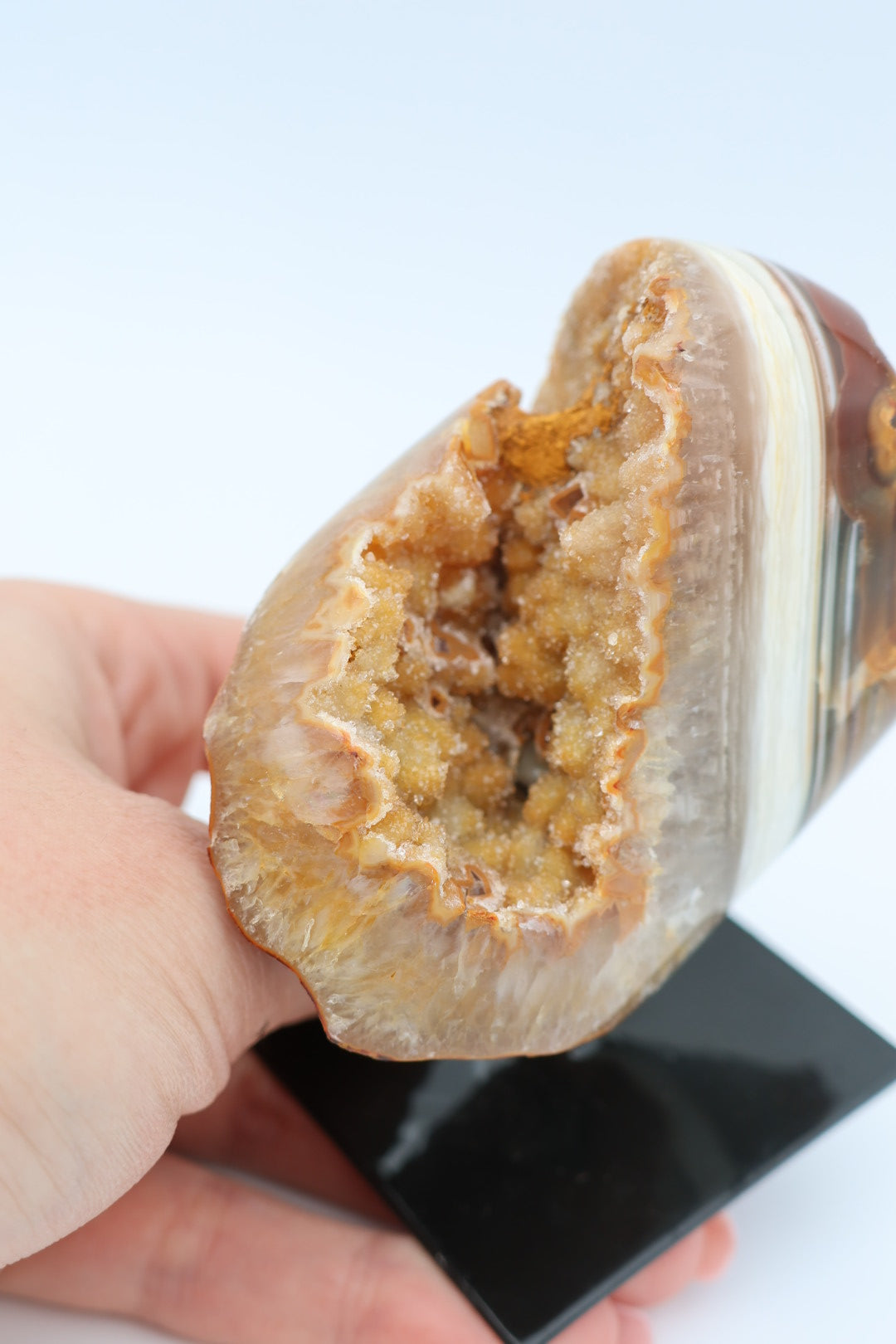 Rotsagaat op standaard 0.220 kg