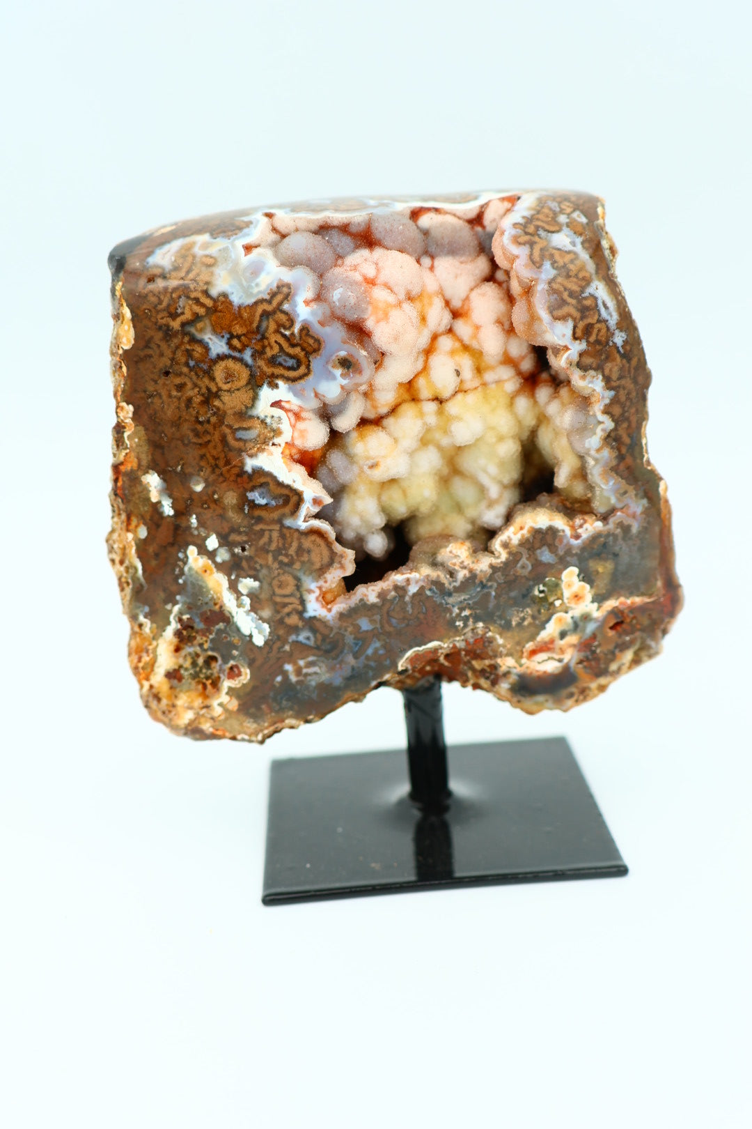 Rotsagaat op standaard 0.247 kg