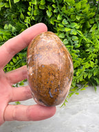 Rode palm fossiel freeform