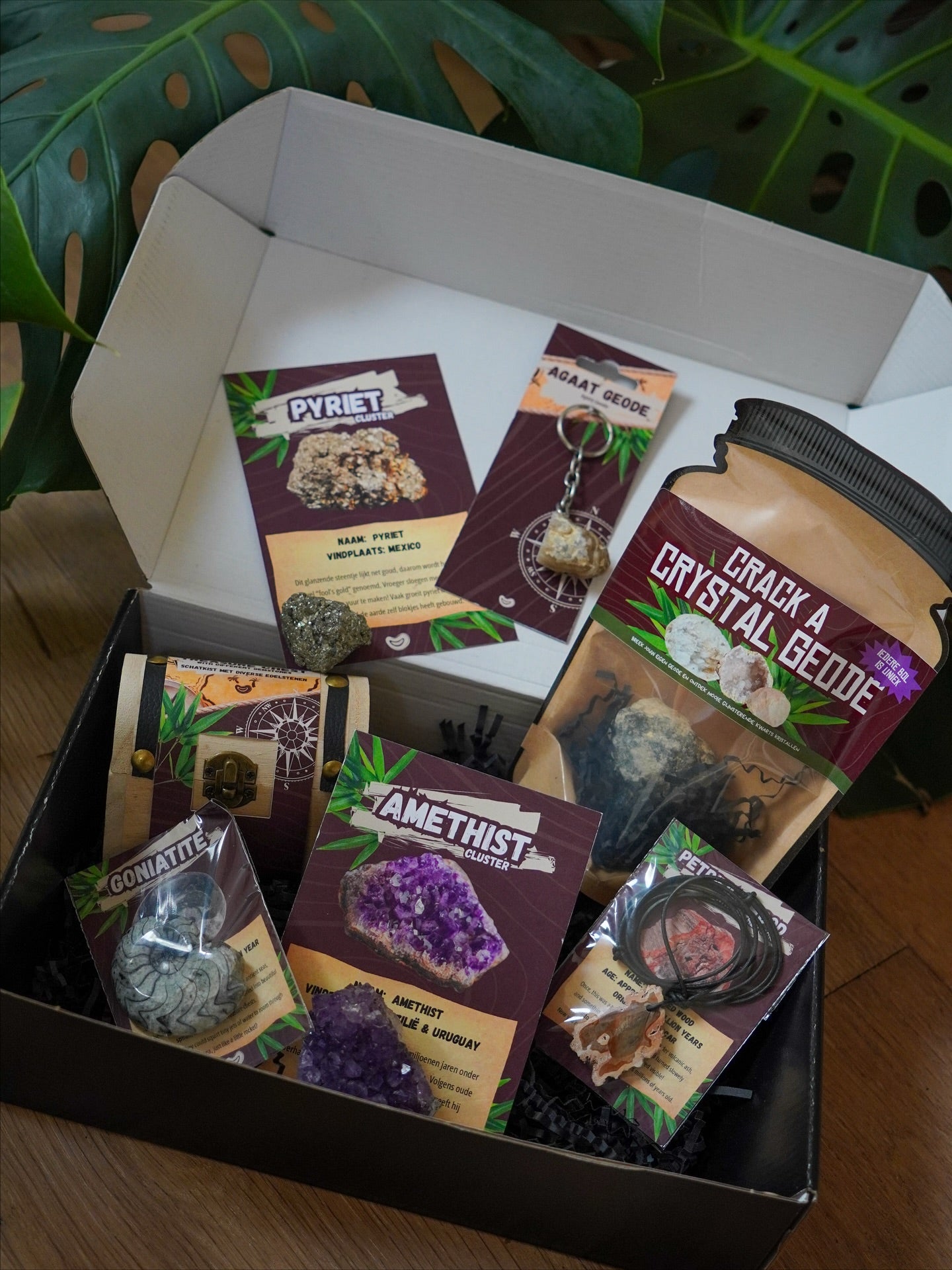 Adventure box