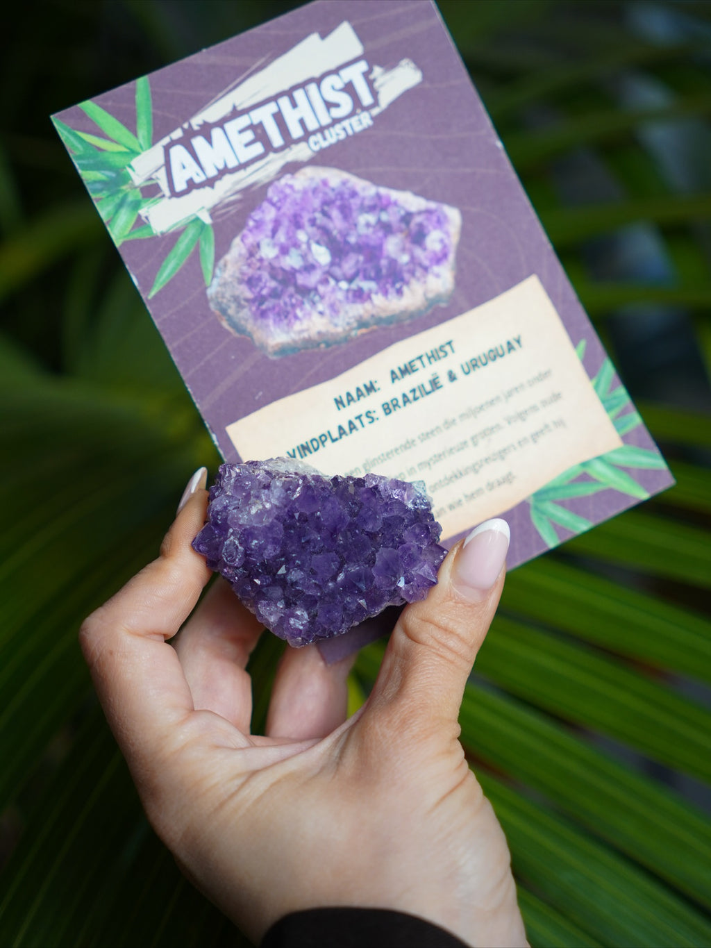 Adventure Box von KEY LIME STORE