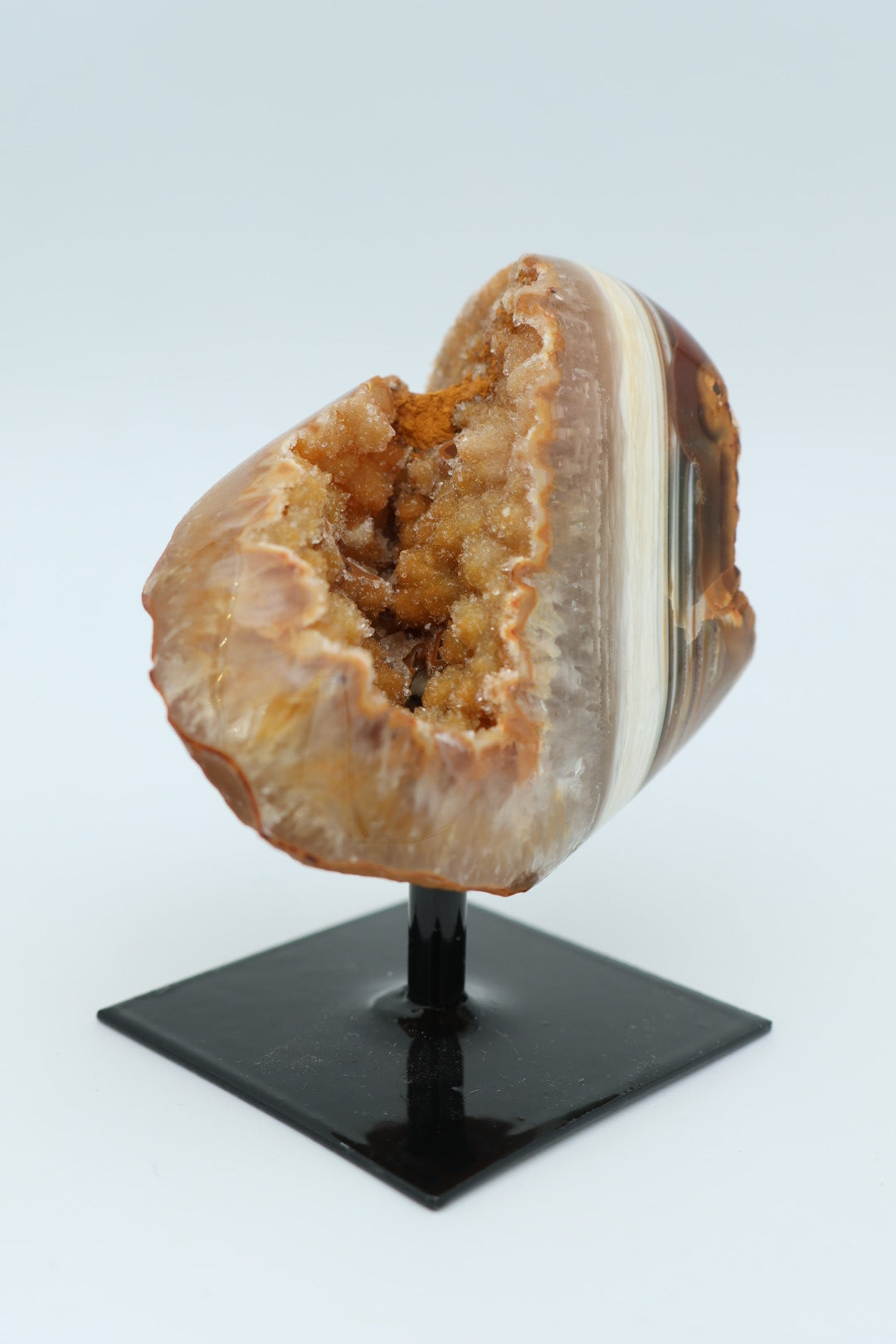 Rotsagaat op standaard 0.220 kg