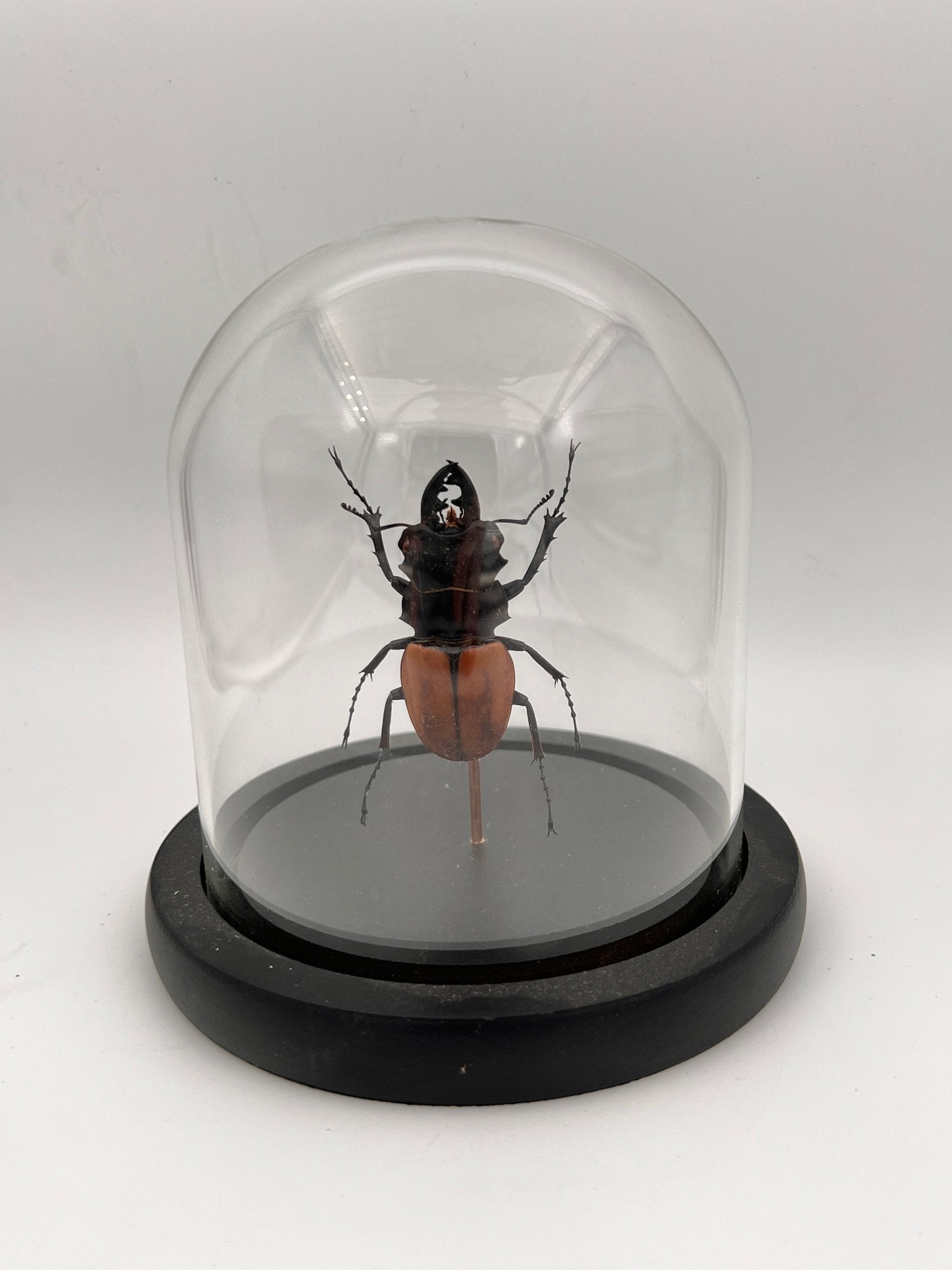 Kever in stolp by KEY LIME STORE