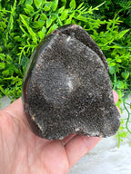 Druzy Septarie ei-vorm cut base (532 gram) by KEY LIME STORE
