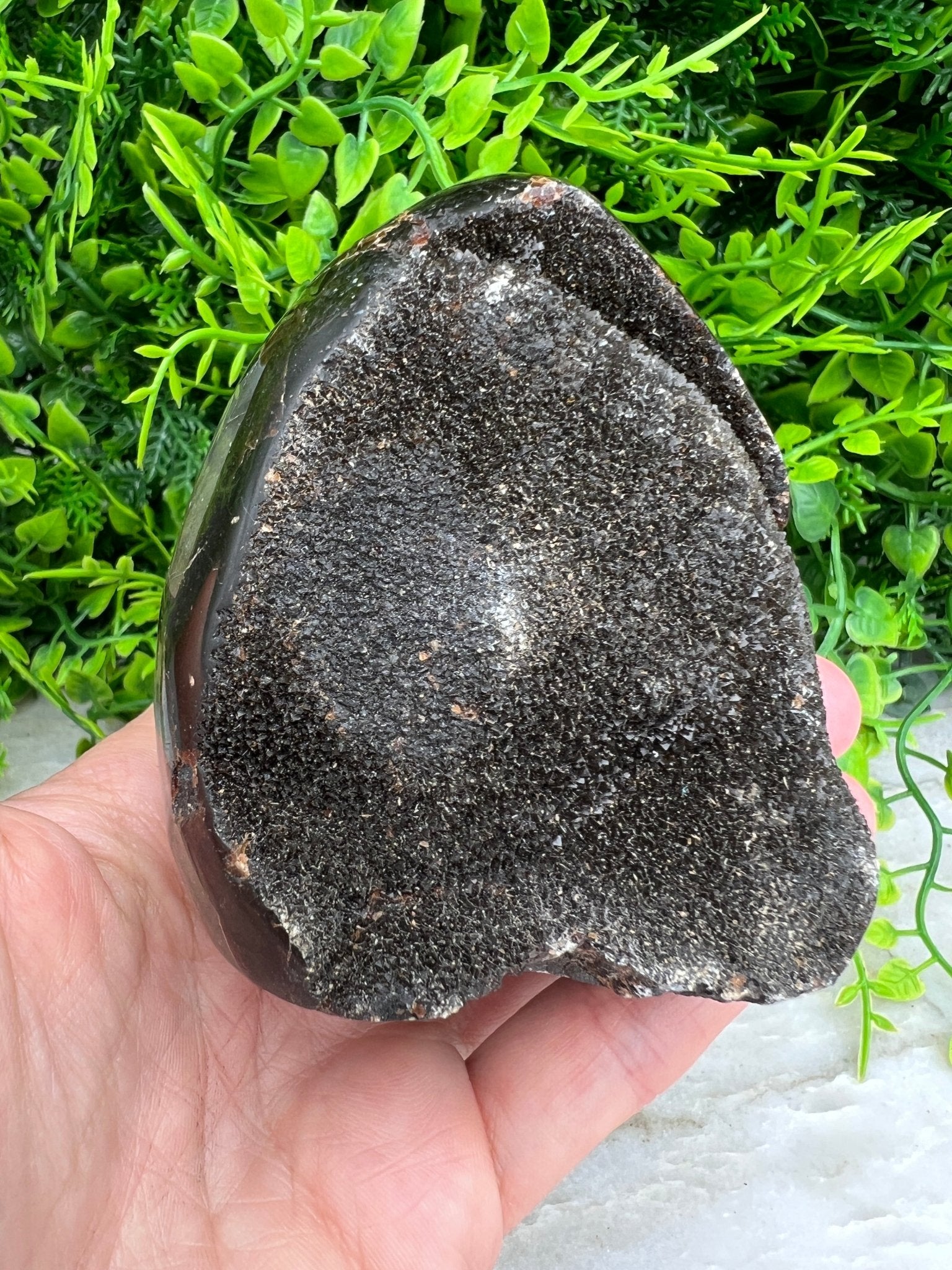 Druzy-Septarie, eiförmig geschliffen, mit Sockel (532 Gramm) von KEY LIME STORE