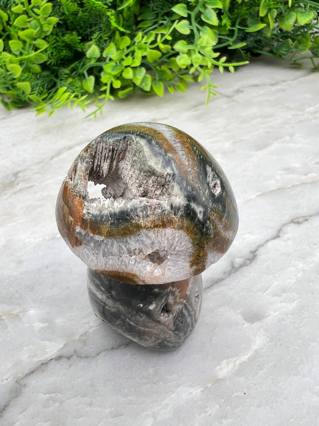 Pilz aus Mosagat (8 cm) von KEY LIME STORE