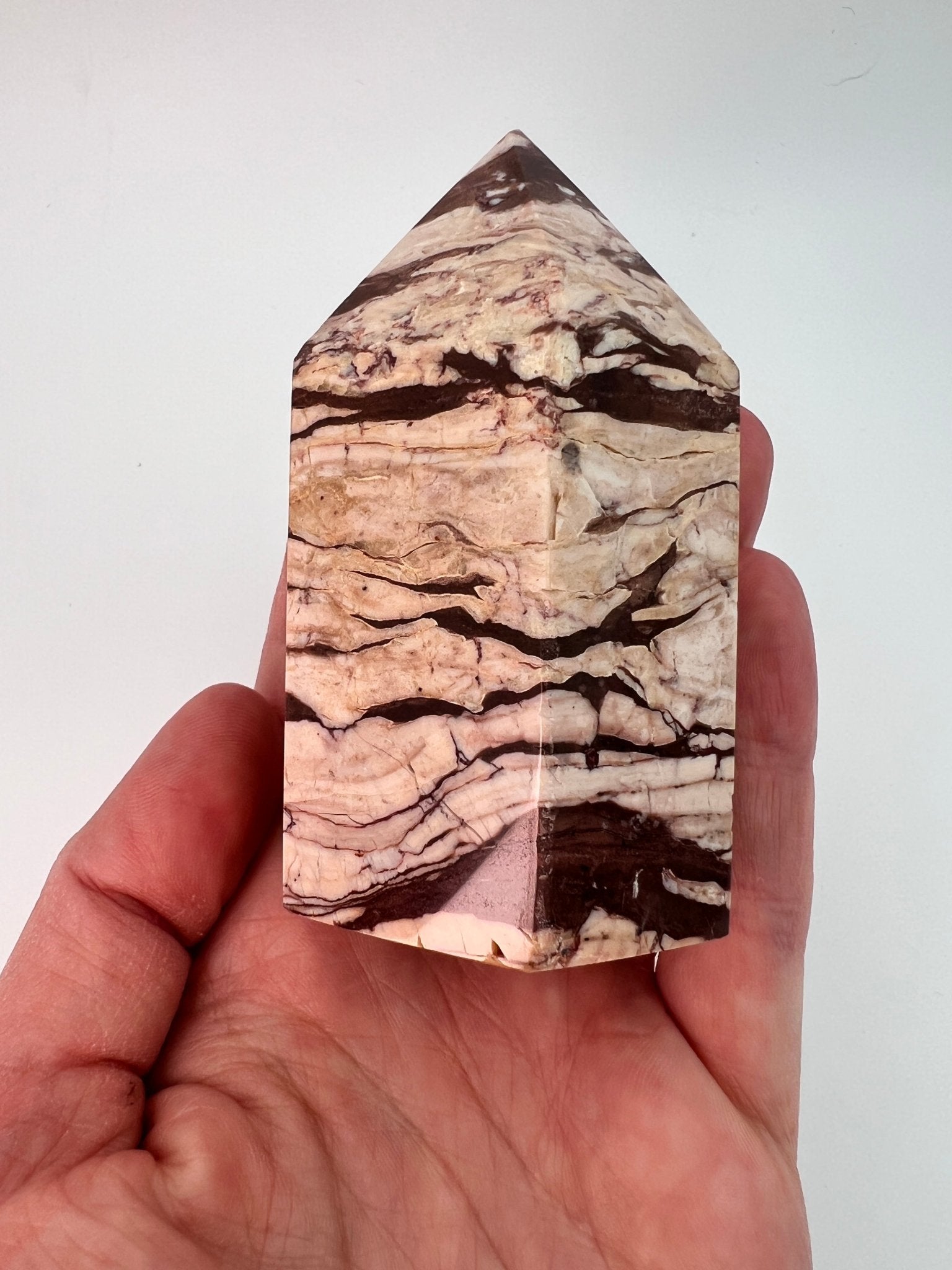 Zebrajaspis toren 0.252 kg by KEY LIME STORE