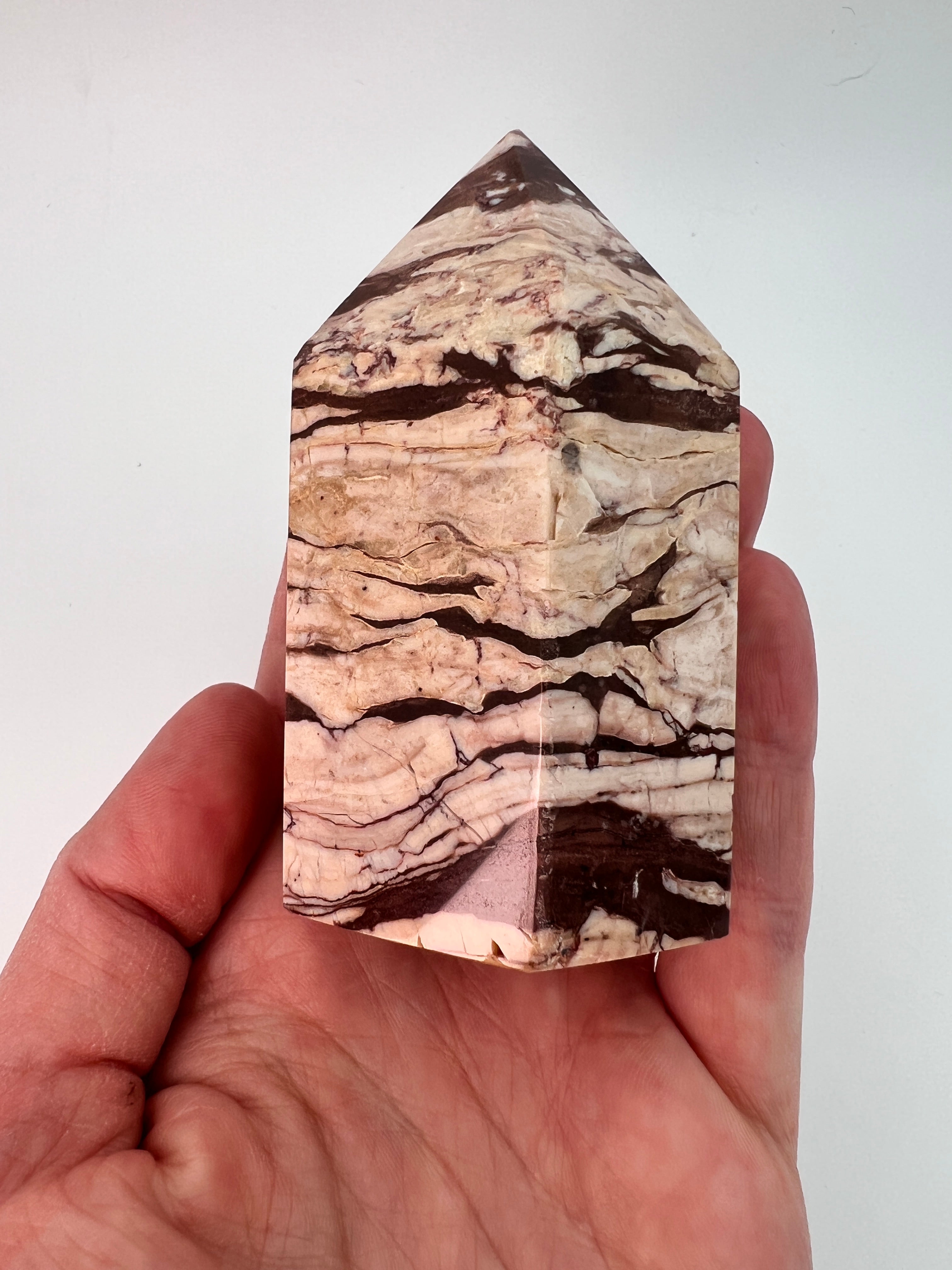 Zebrajaspis toren 0.252 kg