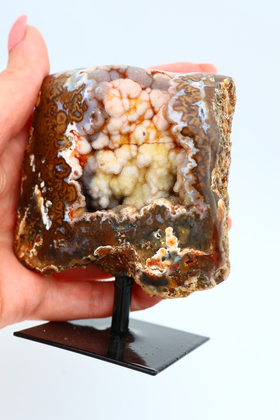 Rotsagaat op standaard 0.247 kg