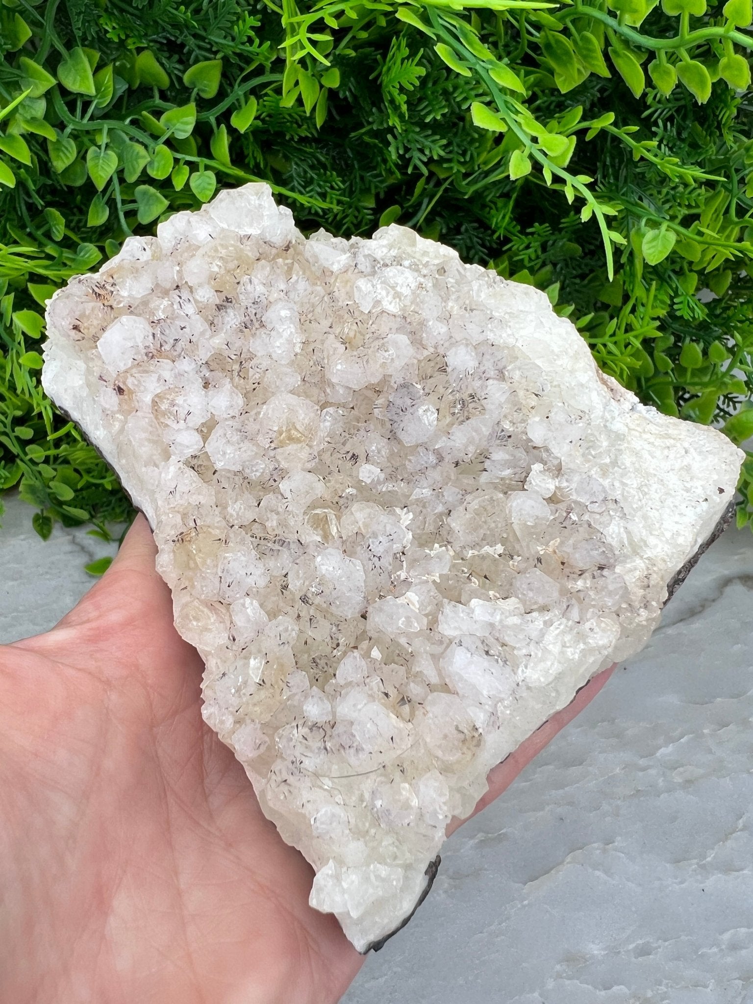Apophyllit mit schwarzen Turmalin-Einschlüssen (12 cm) von KEY LIME STORE