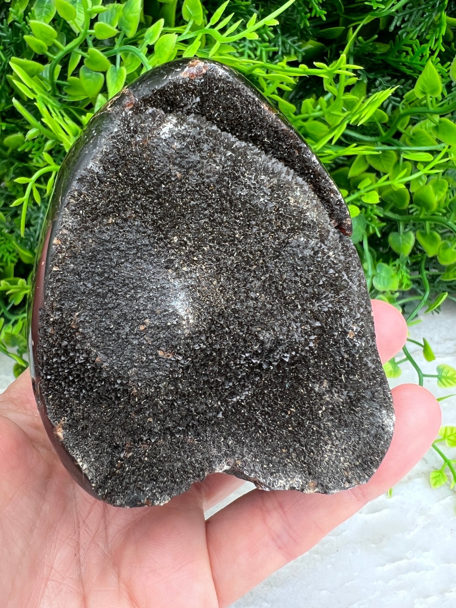 Druzy-Septarie, eiförmig geschliffen, mit Sockel (532 Gramm) von KEY LIME STORE