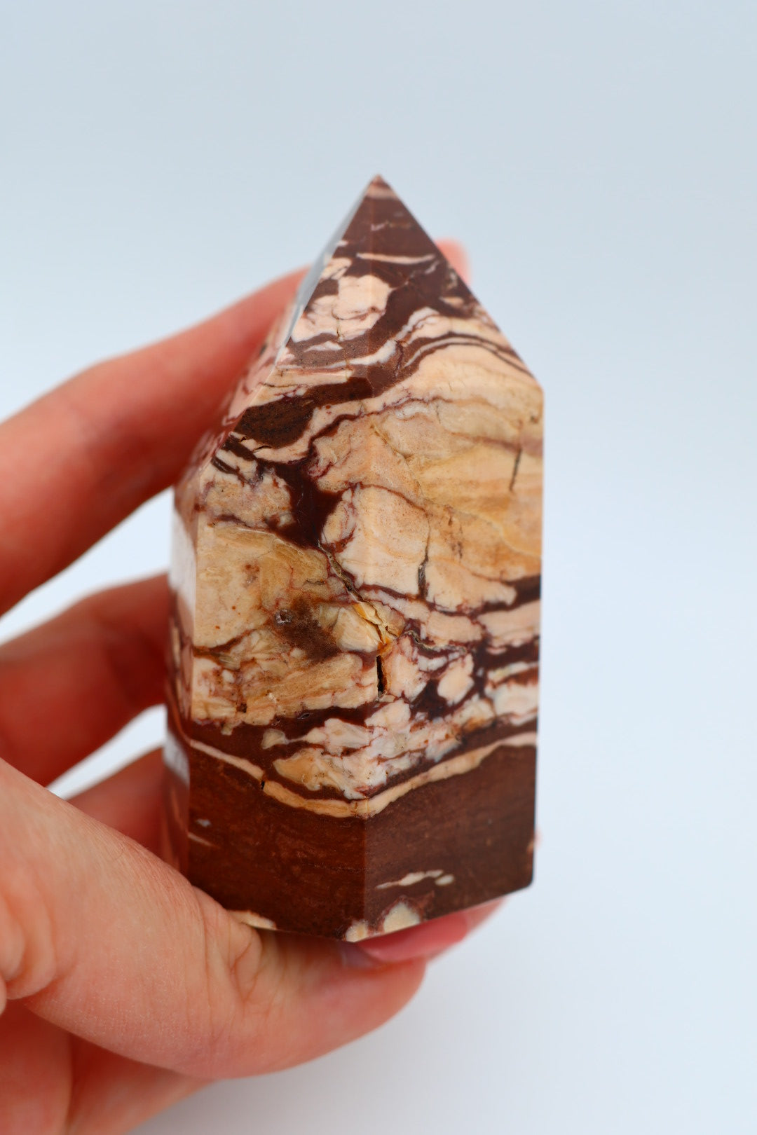 Zebra Jaspis 0.165 kg