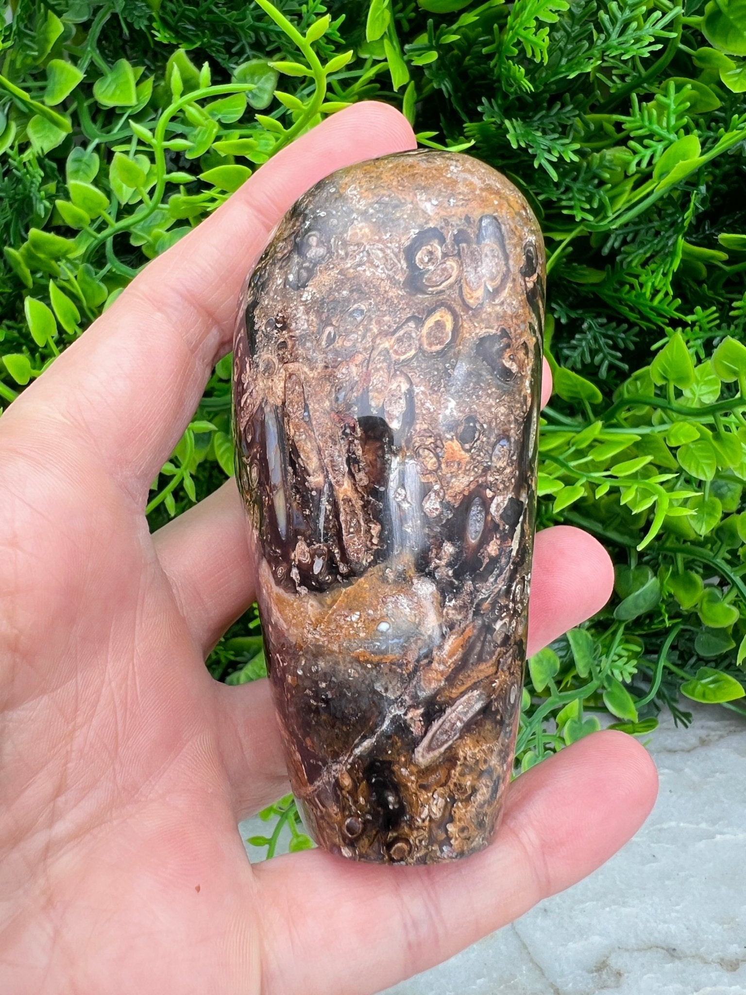 Rotes Palmenfossil, Freiform (8 cm) von KEY LIME STORE