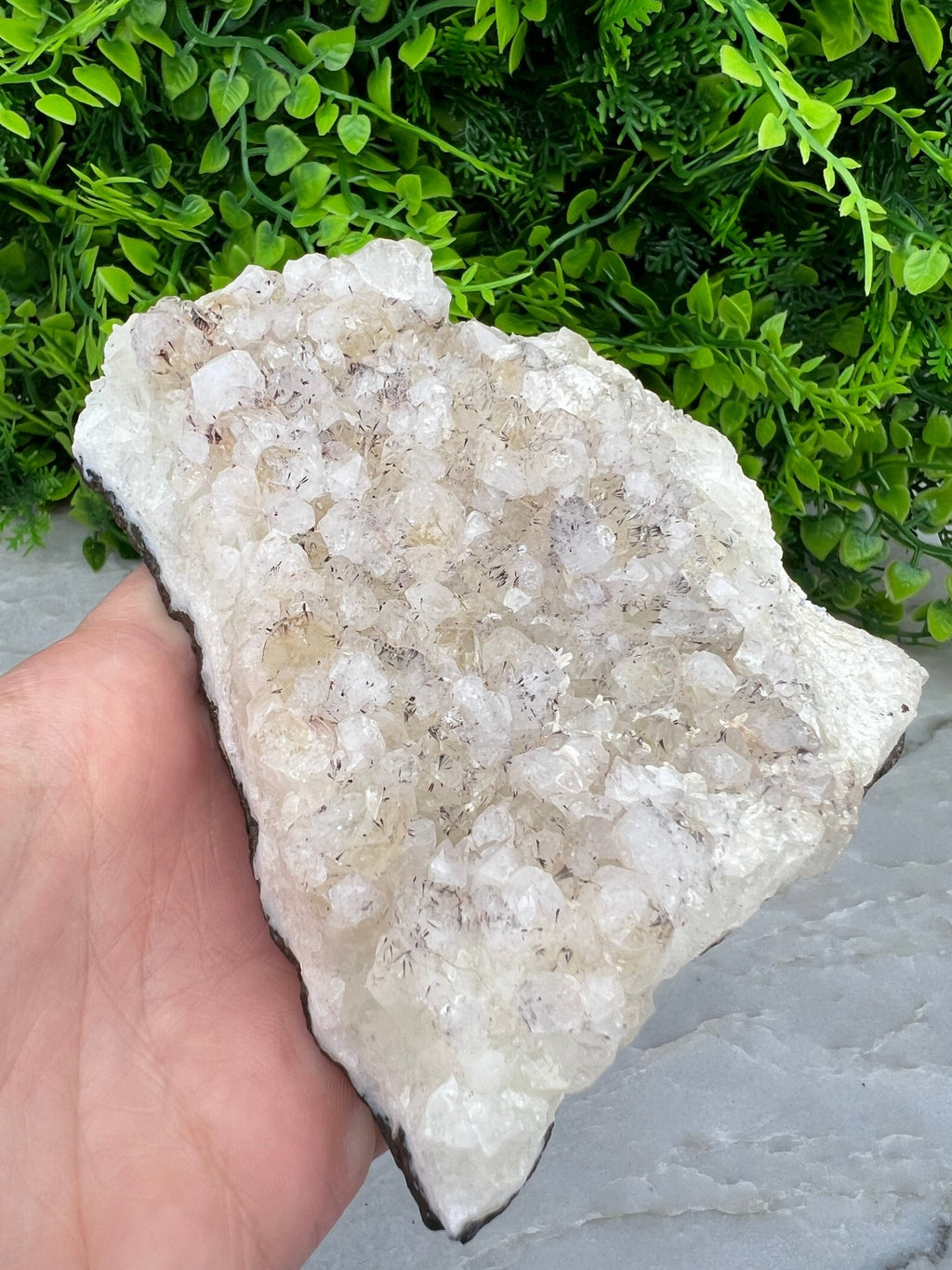 Apophyllit mit schwarzen Turmalin-Einschlüssen (12 cm) von KEY LIME STORE
