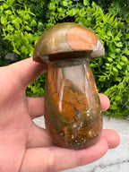 Oceaan Jaspis paddenstoel (8 cm)