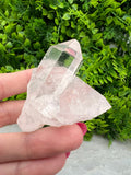 Sehr klarer Bergkristall-Cluster (5 cm) von KEY LIME STORE