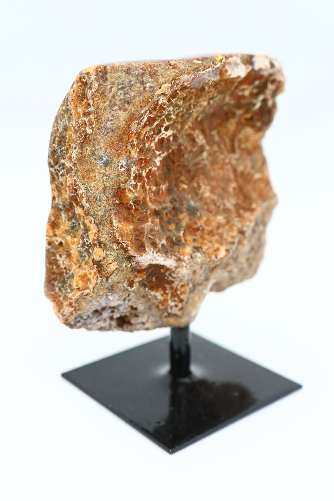 Rotsagaat op standaard 0.247 kg