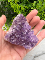 Amethist cluster cut base (6 cm)