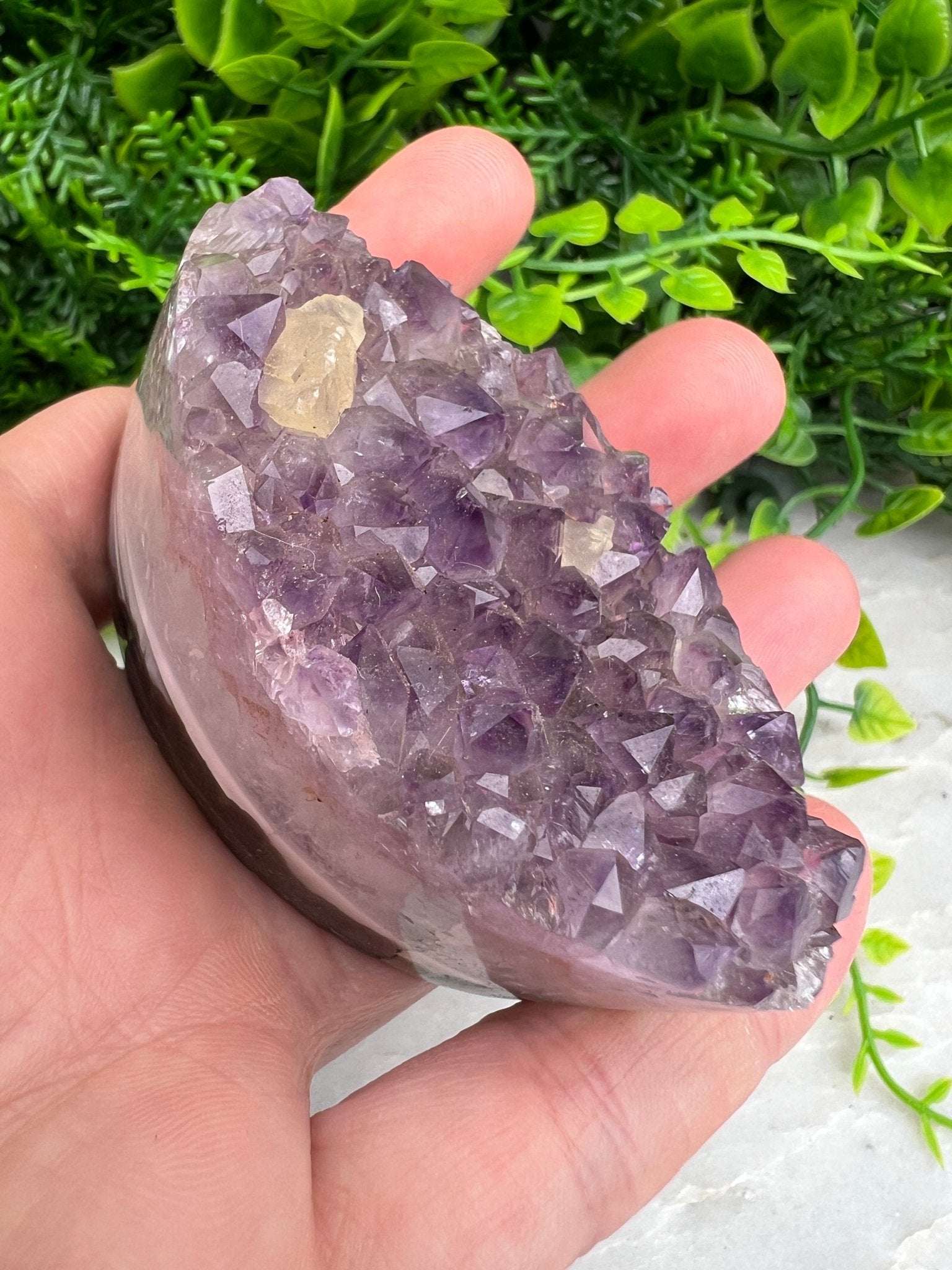 Amethyst, elliptisch (6 cm) von KEY LIME STORE