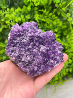 Amethist cluster pine by KEY LIME STORE
