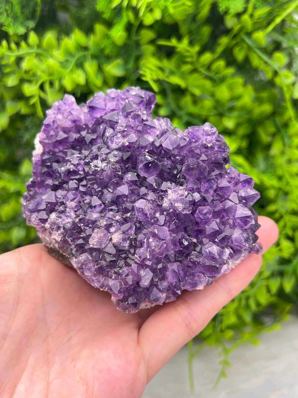 Amethist cluster pine by KEY LIME STORE