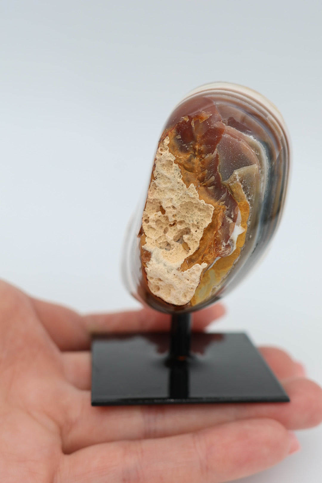 Rotsagaat op standaard 0.220 kg