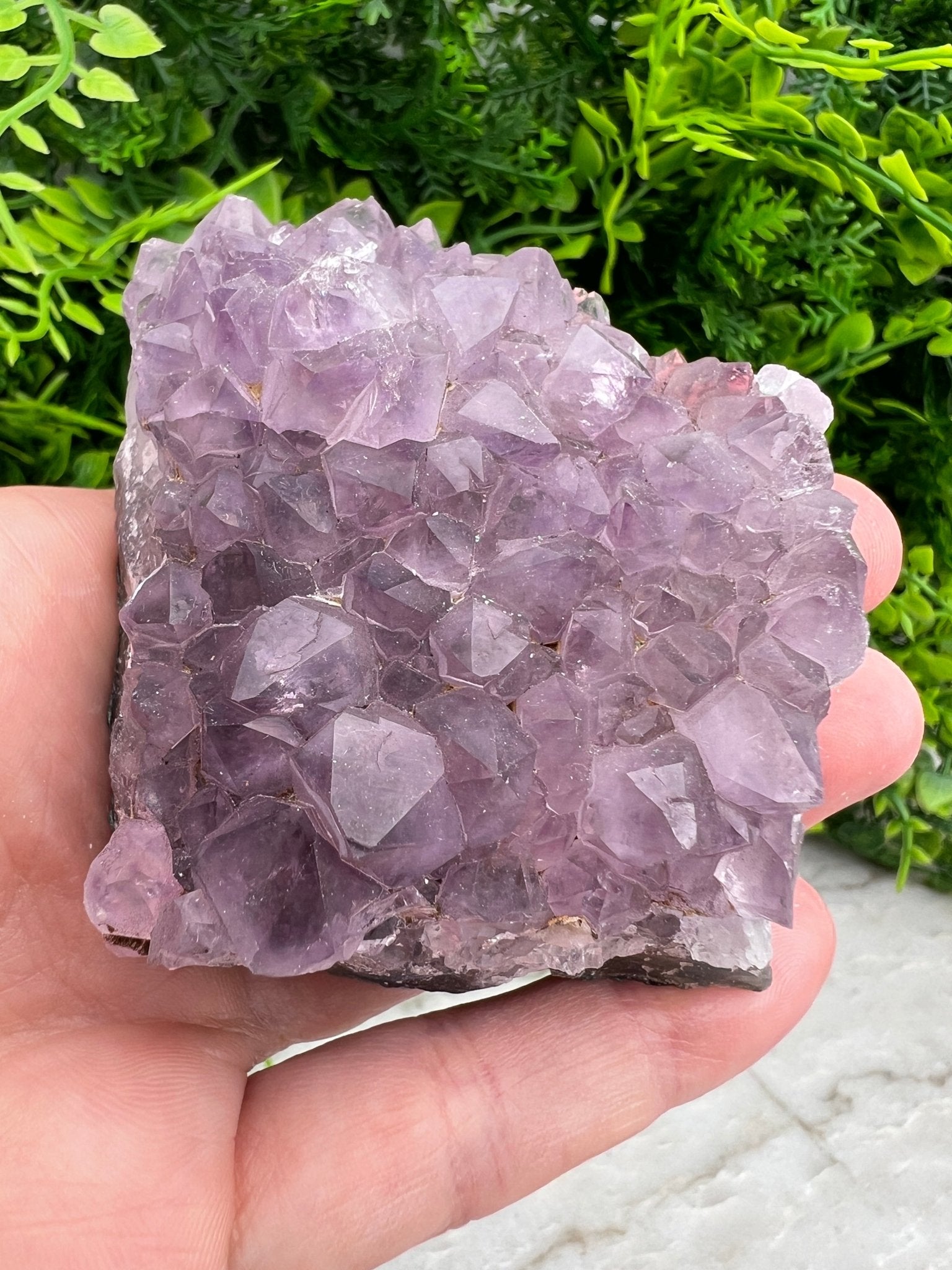 Amethyst-Cluster (8 cm) von KEY LIME STORE
