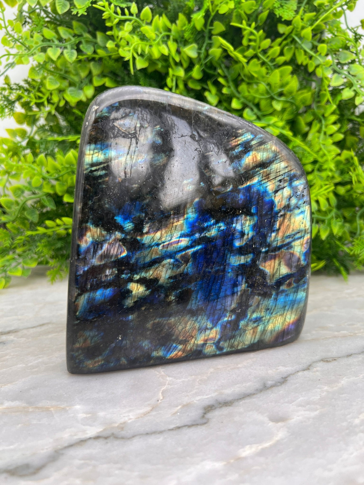 Labradoriet sculptuur by KEY LIME STORE