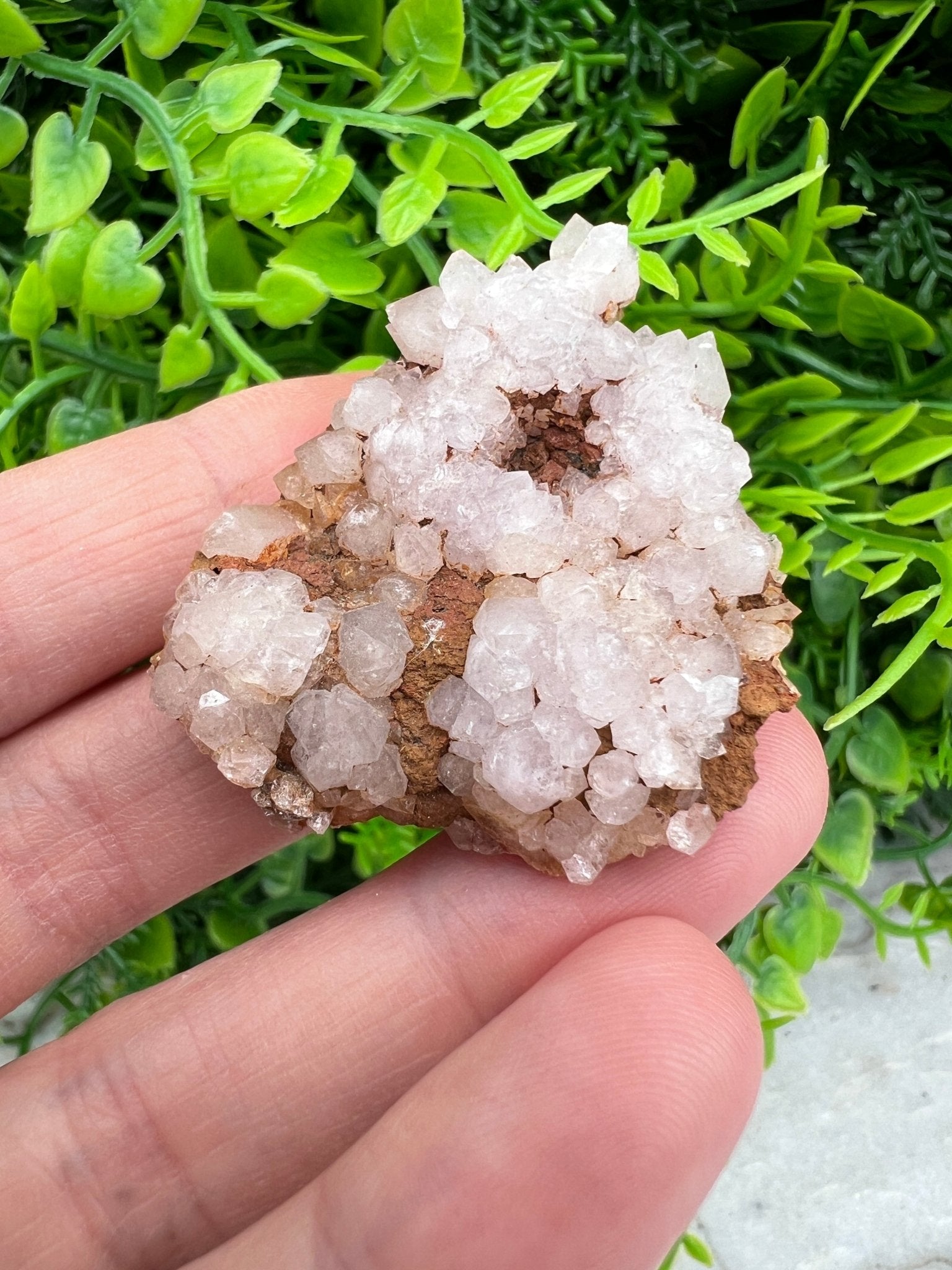 Rosa Amethyst-Cluster (4 cm) von KEY LIME STORE