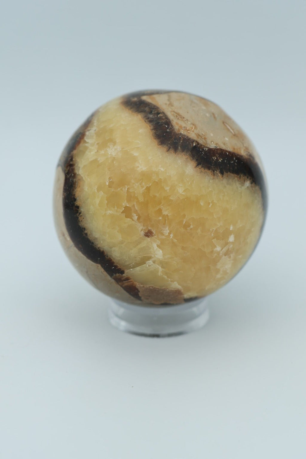 Septarie-Kugel, 0,375 Gramm, von KEY LIME STORE