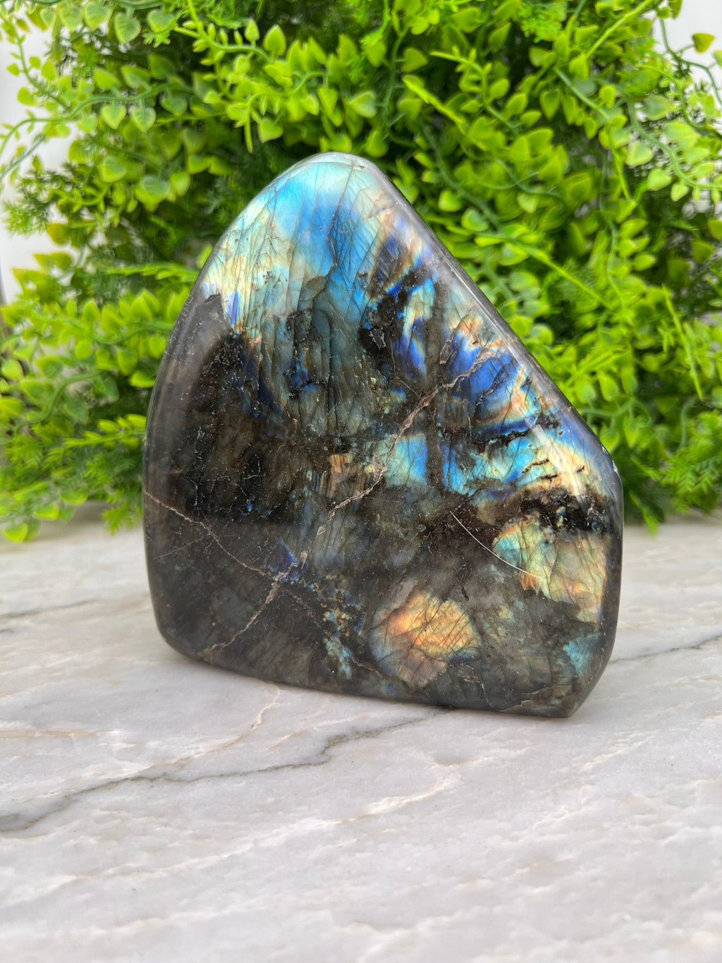 Labradoriet sculptuur by KEY LIME STORE