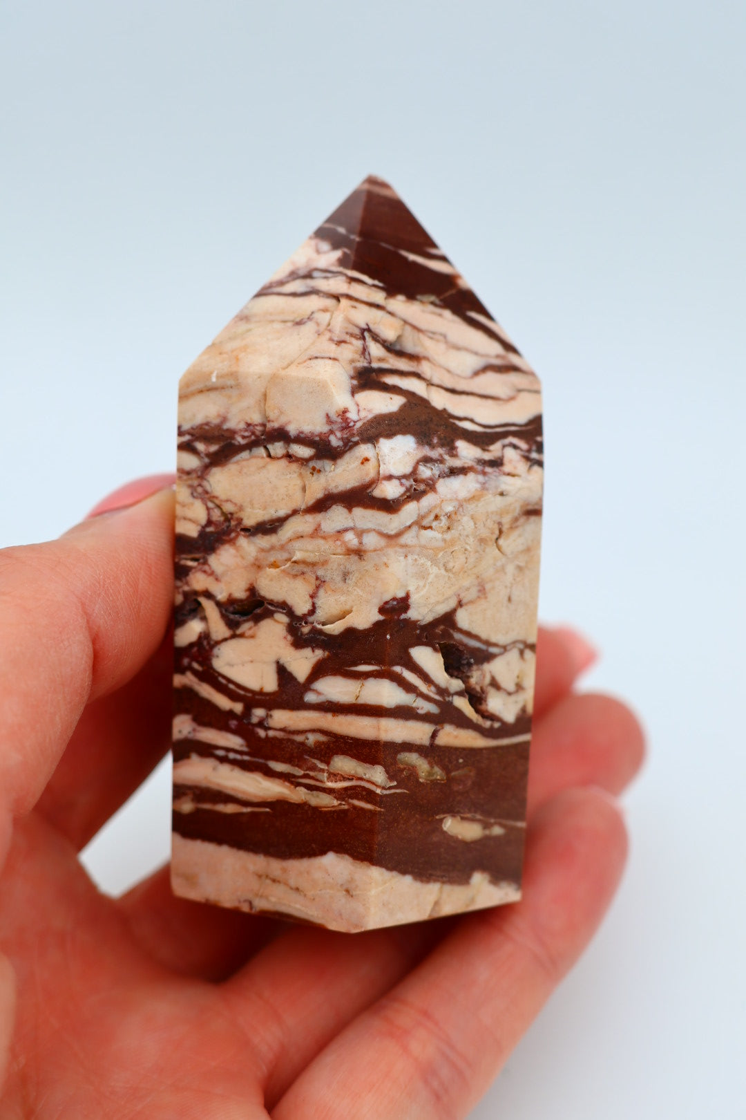 Zebra Jaspis 0.165 kg