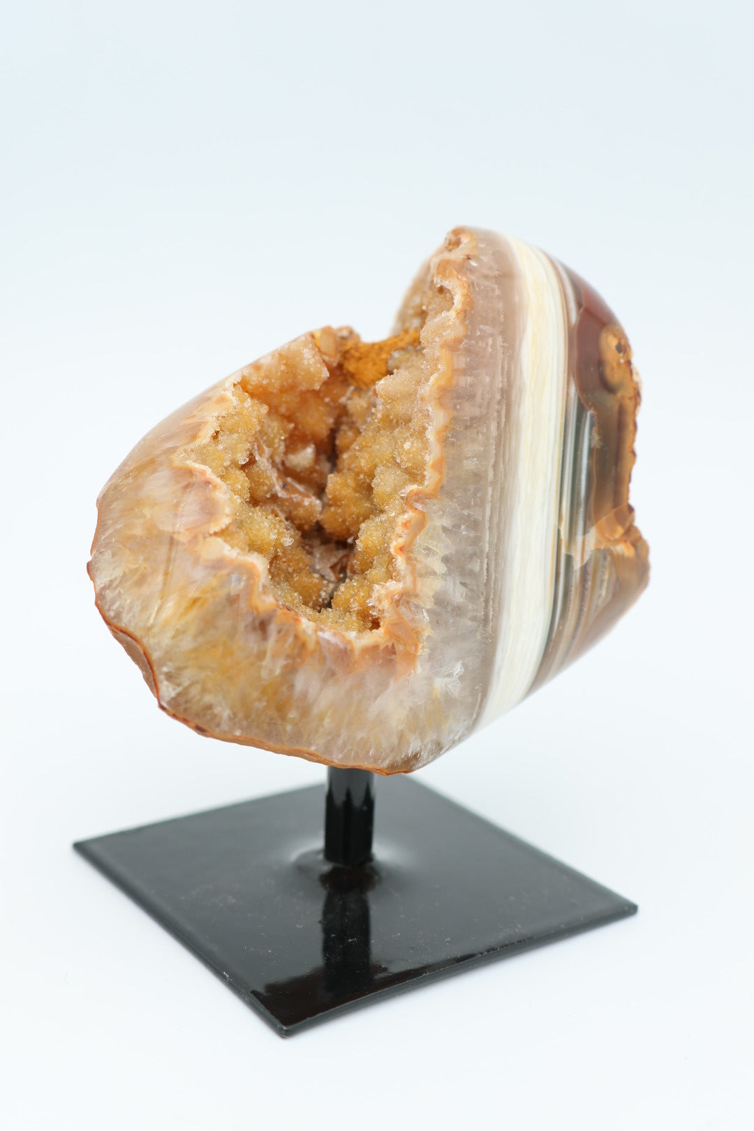 Rotsagaat op standaard 0.220 kg