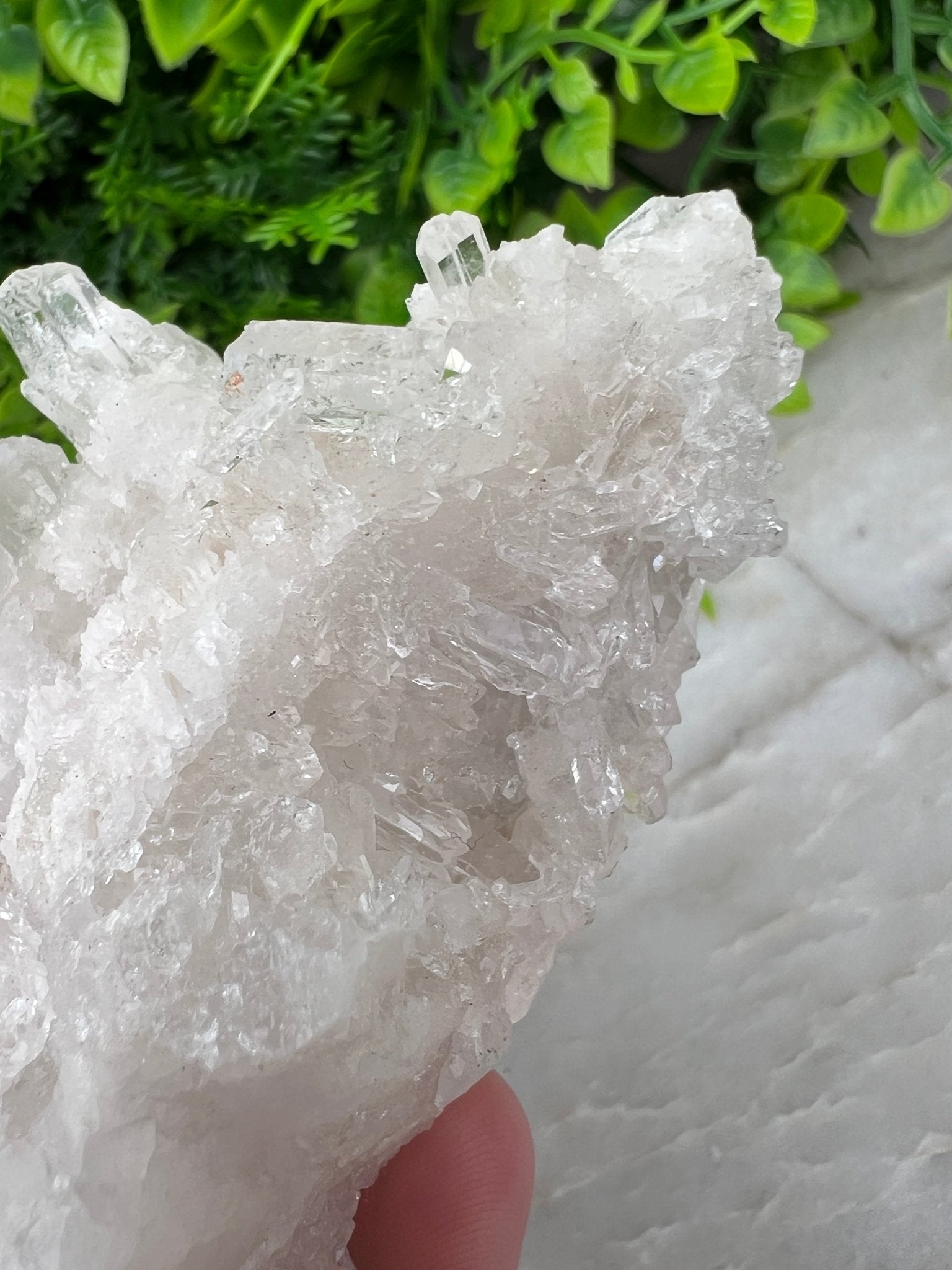 Bergkristall-Cluster (8 cm) von KEY LIME STORE