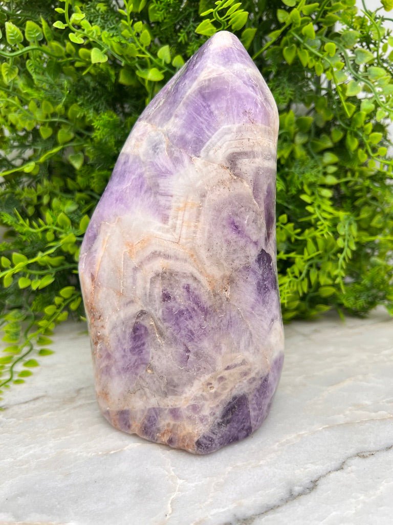 Dog Teeth Amethist sculptuur by KEY LIME STORE