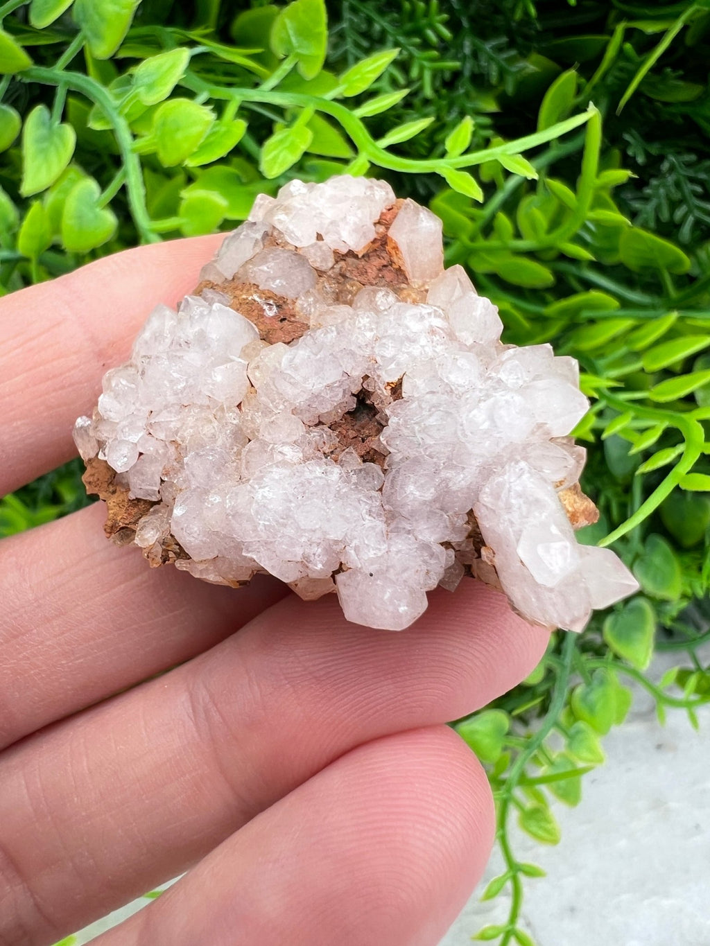 Rosa Amethyst-Cluster (4 cm) von KEY LIME STORE
