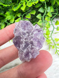Amethyst-Cluster (3 cm) von KEY LIME STORE