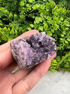 Amethist cluster cut base