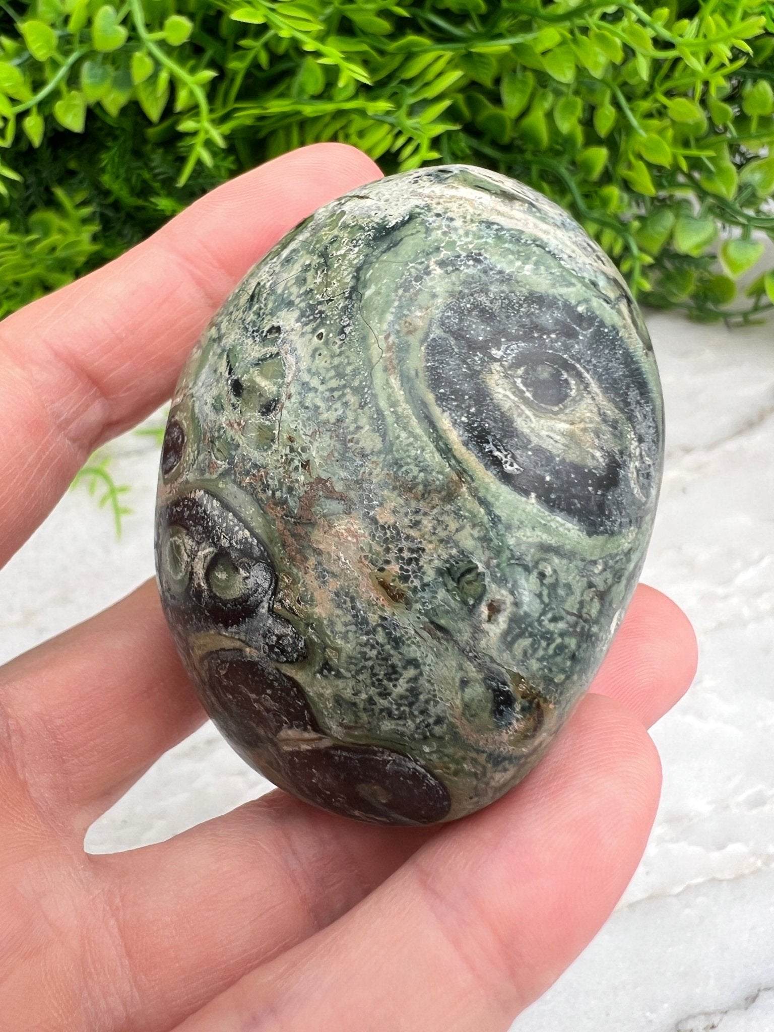 Kambaba-Jaspis (Elderiet) Handstein (6 cm) von KEY LIME STORE