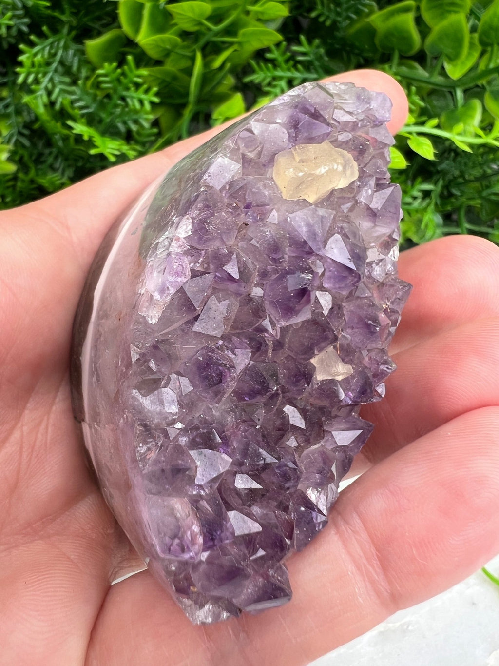 Amethyst, elliptisch (6 cm) von KEY LIME STORE