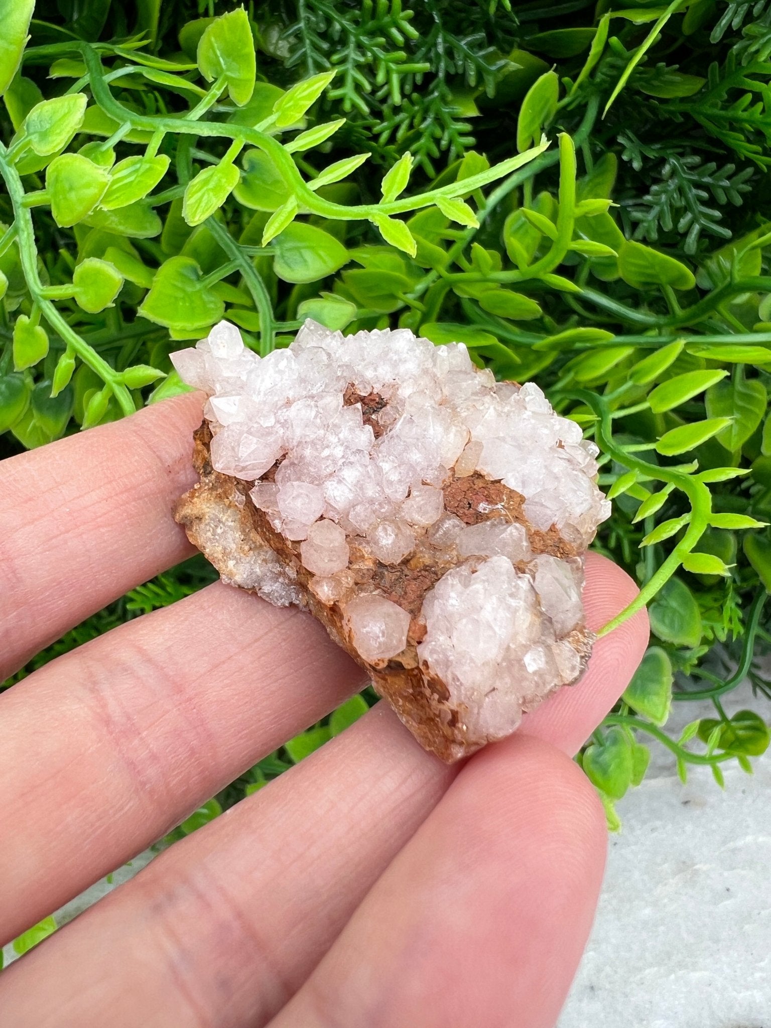 Rosa Amethyst-Cluster (4 cm) von KEY LIME STORE