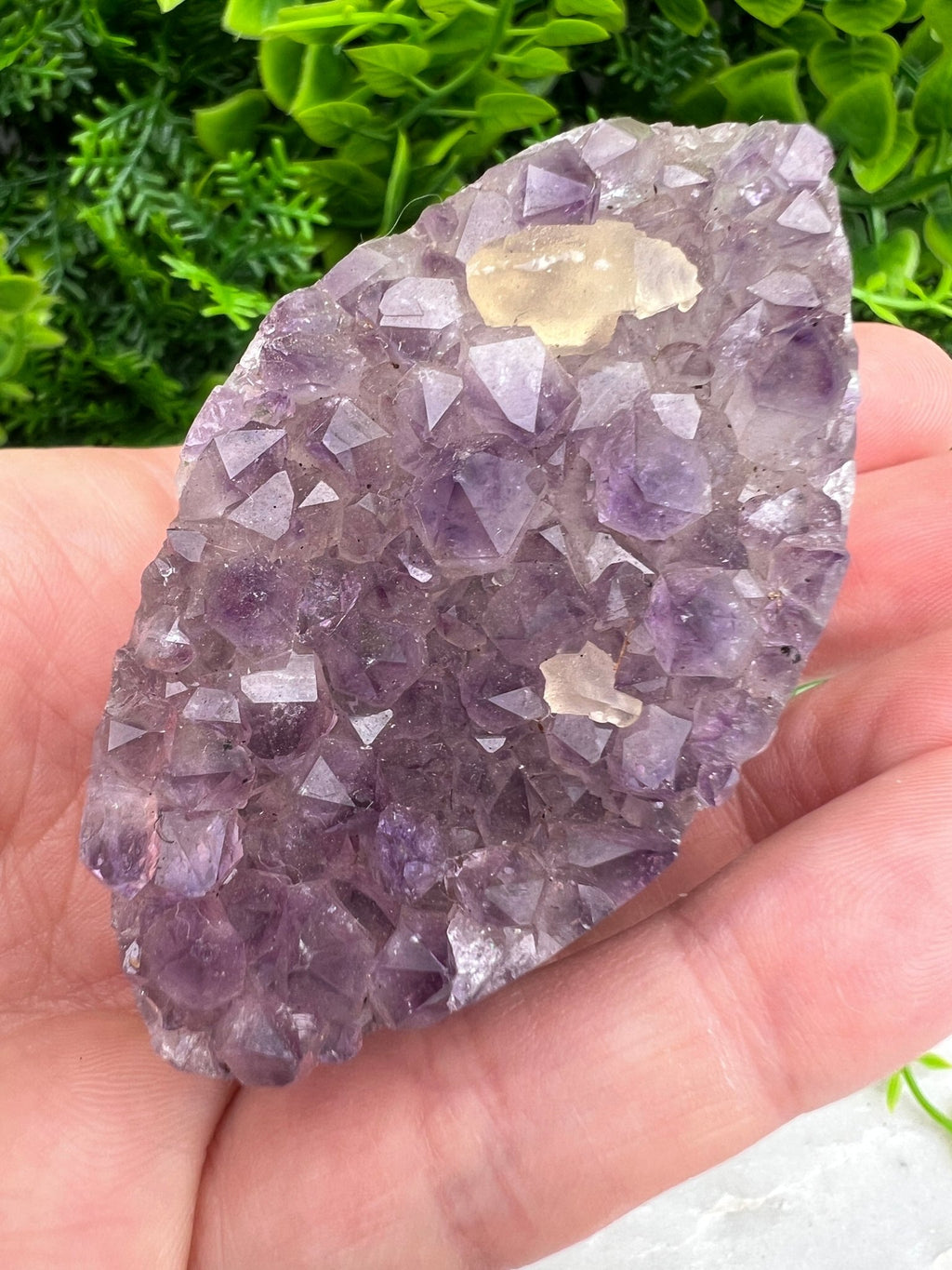 Amethyst, elliptisch (6 cm) von KEY LIME STORE
