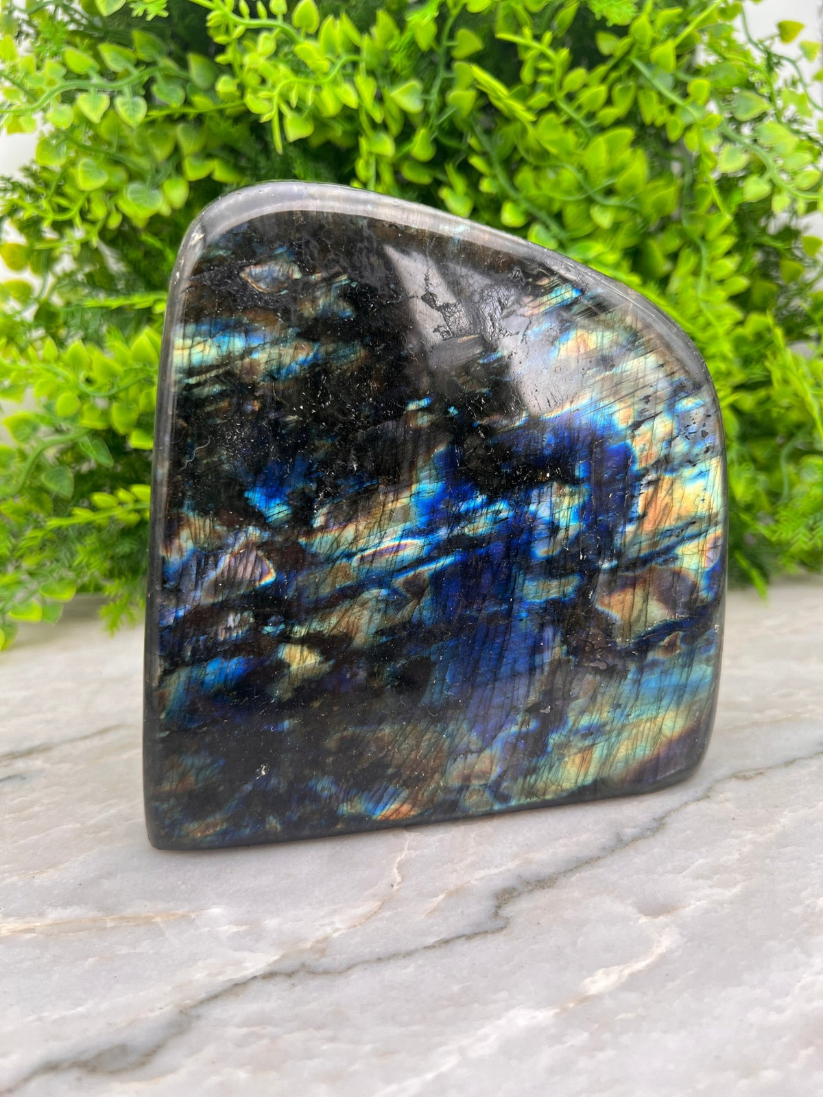 Labradoriet sculptuur by KEY LIME STORE