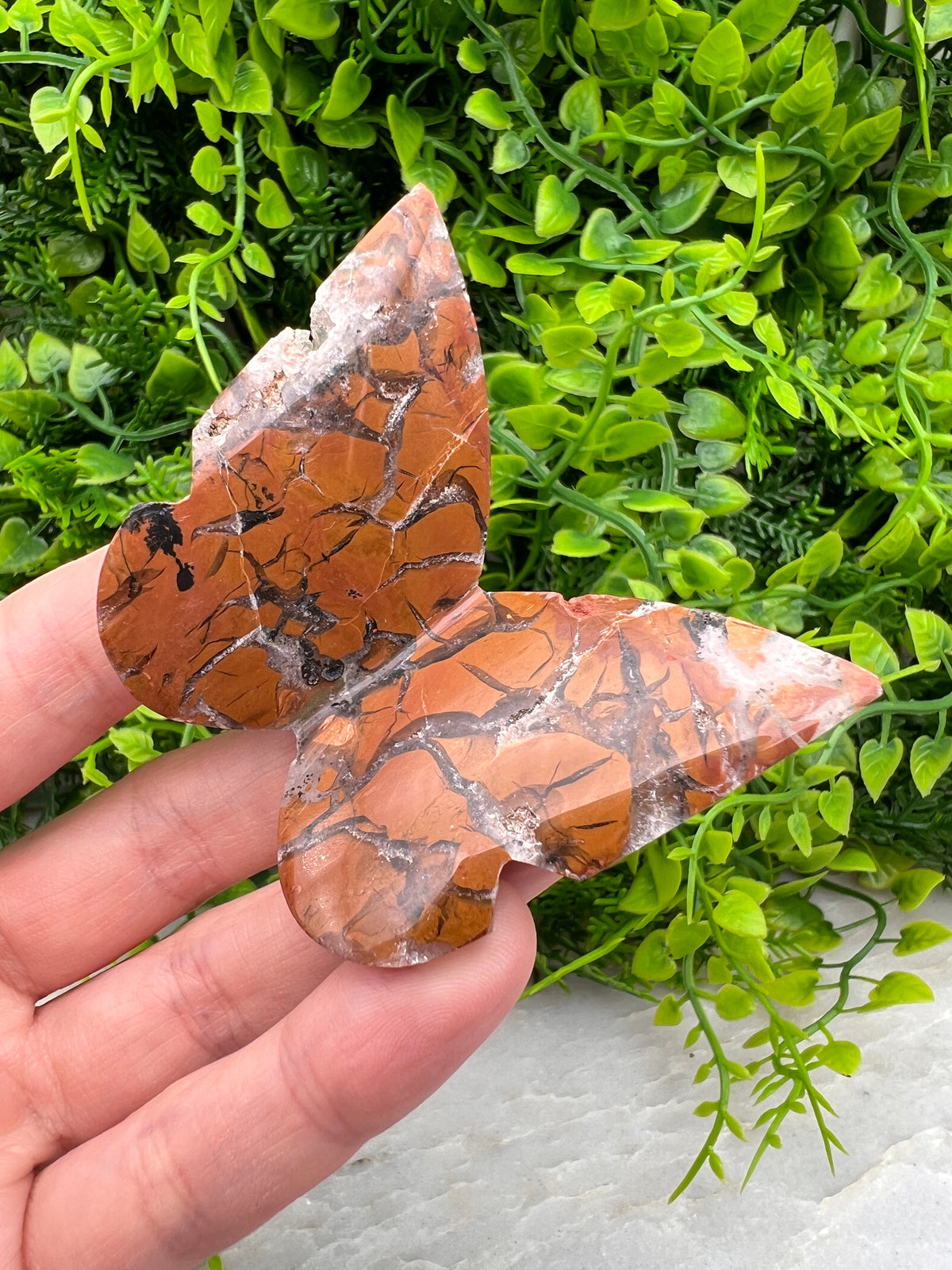Breccie Jaspis 3D-vlinder