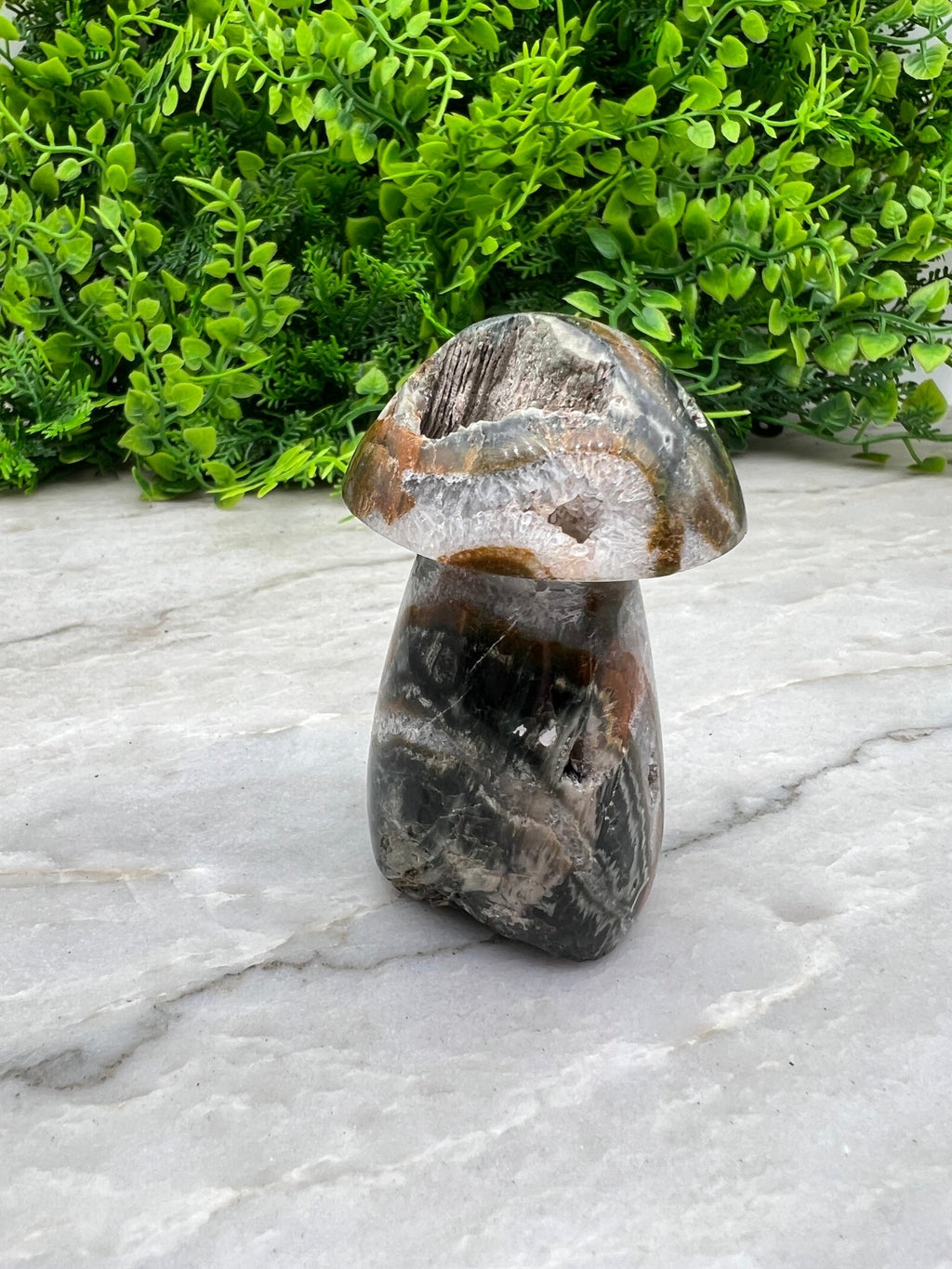 Pilz aus Mosagat (8 cm) von KEY LIME STORE