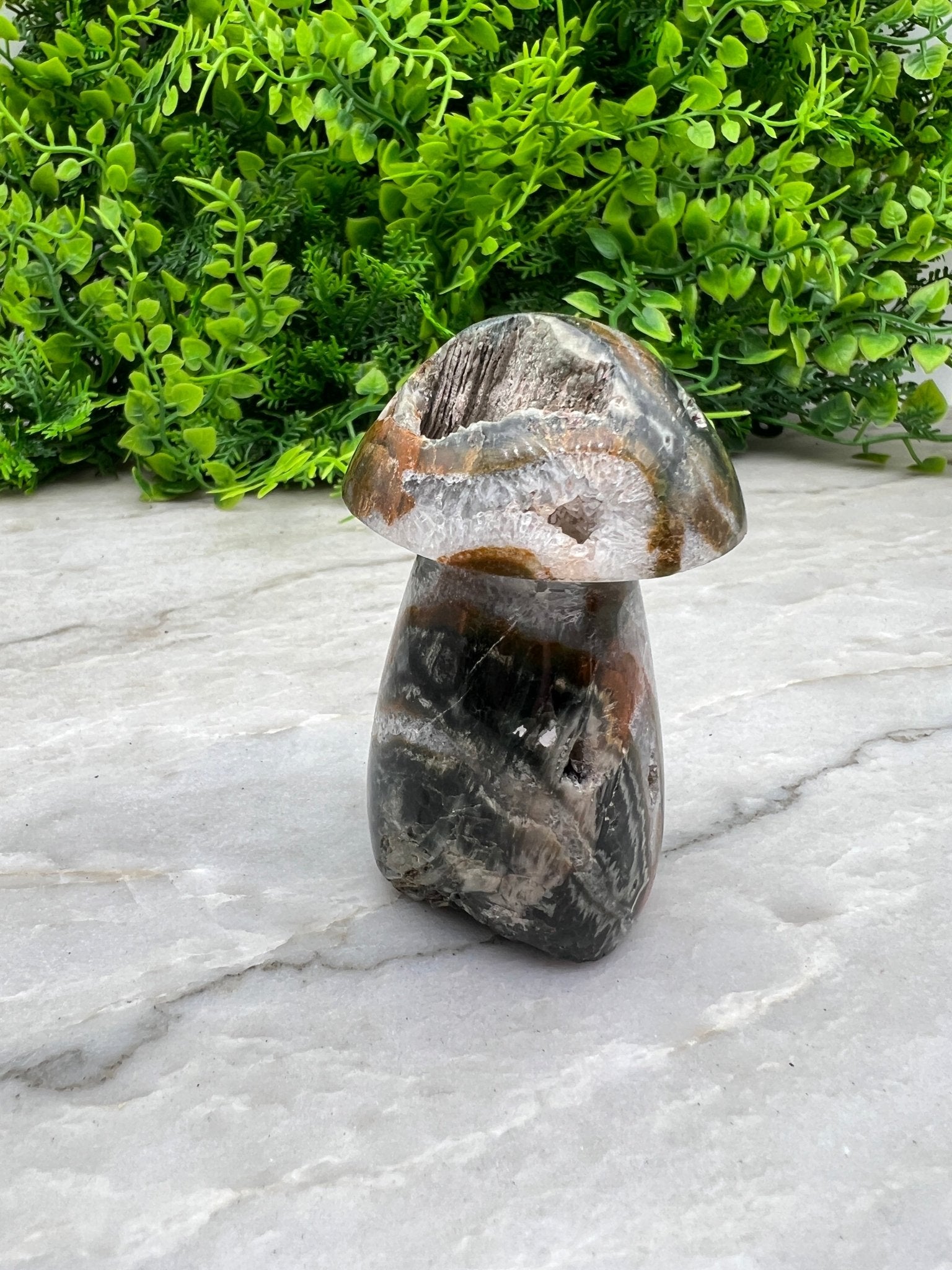 Pilz aus Mosagat (8 cm) von KEY LIME STORE